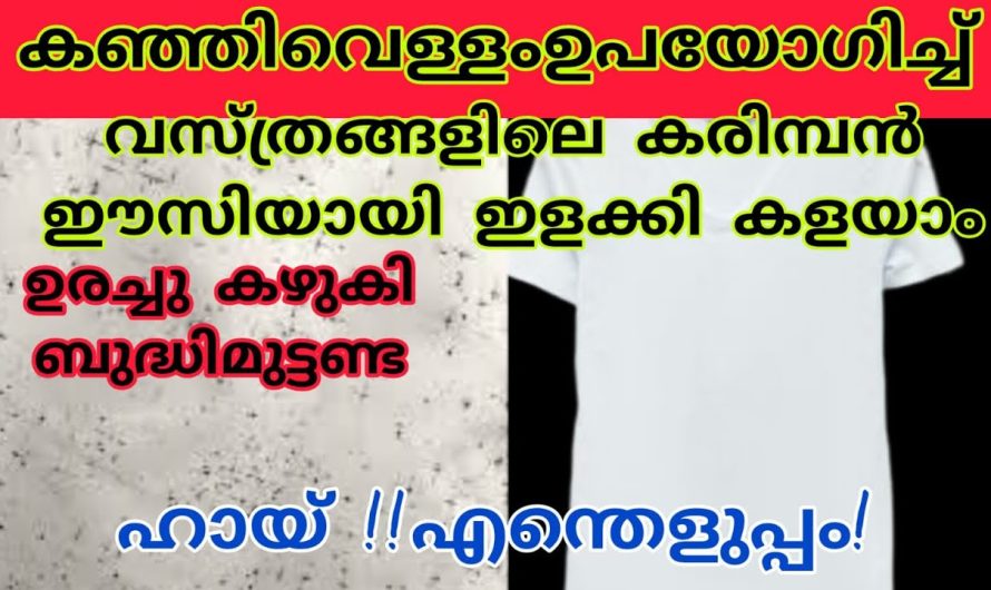 വസ്ത്രങ്ങളിലെ കരിമ്പൻ എല്ലാം കളഞ്ഞ് വെട്ടി തിളങ്ങാൻ ഇതുമാത്രം മതി