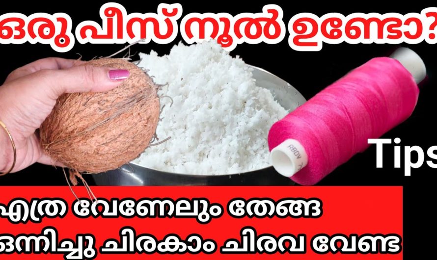 മടിയുണ്ടോ തേങ്ങ ചിരകാൻ ? നൂലിന്റെ അത്ഭുതം യൂട്യൂബിൽ ആദ്യം