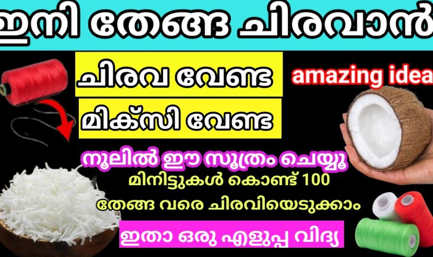 100 തേങ്ങ വരെ ഒറ്റയടിക്ക്  ചിരവി എടുക്കാൻ ഇനി ചിരവ വേണ്ട നൂൽ കൊണ്ട് ഉള്ള സൂത്രം ശെരിക്കും ഞെട്ടിച്ചു