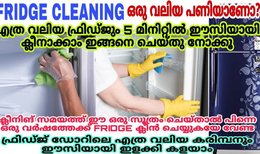 എത്ര അഴുക്കുപിടിച്ച ഫ്രിഡ്ജും ഇങ്ങനെ ചെയ്താൽ മതി എളുപ്പത്തിൽ വൃത്തിയാക്കാം