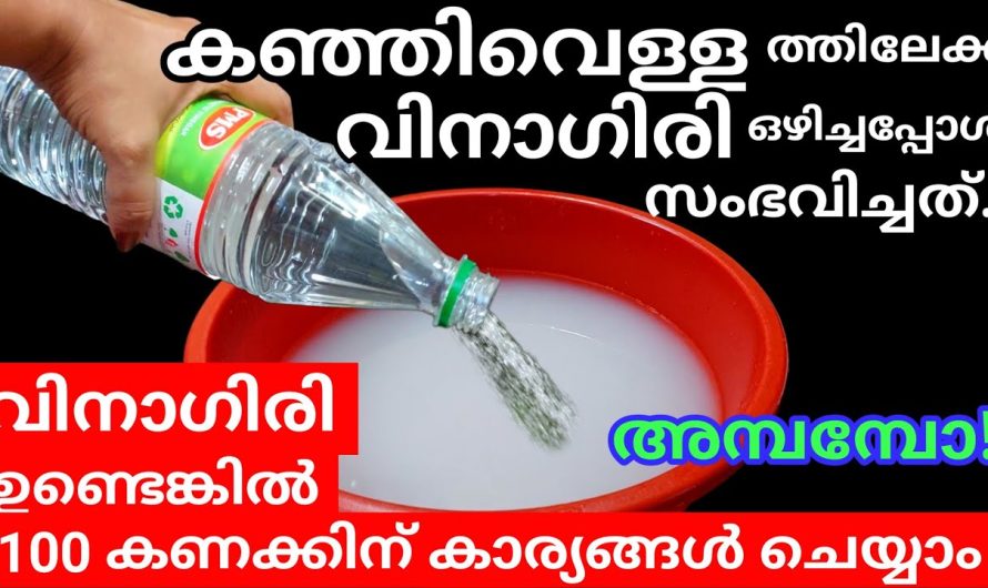 ഇത് കണ്ടാൽ തന്നെ ഒരു കുപ്പി വിനാഗിരി വാങ്ങും കഞ്ഞിവെള്ളത്തിൽ ഒഴിച്ചാൽ