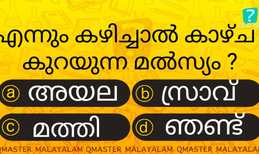 ഈ മീൻ എന്നും  കഴിക്കരുത് , അറിയാതെ പോകല്ലേ ഇതിനെക്കുറിച്ച്