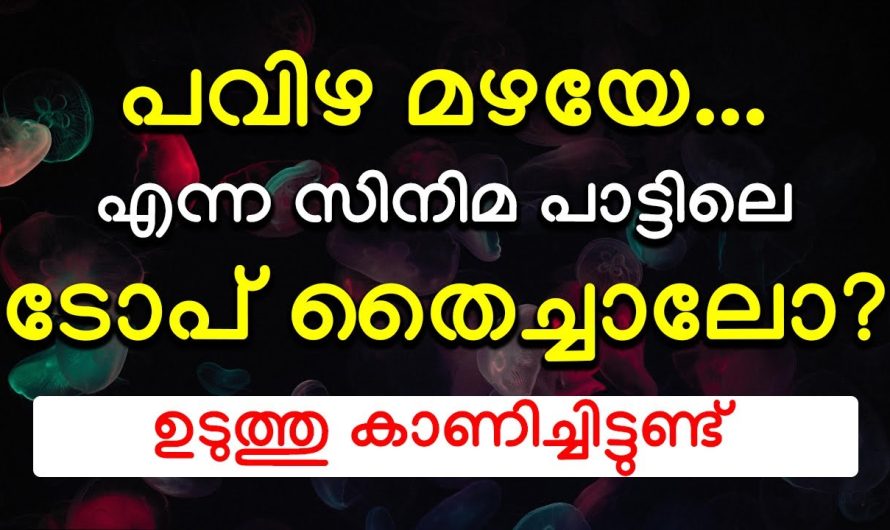 ഉടുത്തു കാണിച്ചിട്ടുണ്ട് പവിഴ മഴയേ ….എന്ന സിനിമ ടോപ് തൈച്ചാലോ?