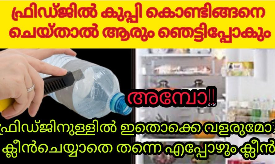 ഇതൊന്നും അറിഞ്ഞില്ലല്ലോ ഇത്രനാളും ഫ്രിഡ്ജ് ഉപയോഗിച്ചിട്ടും