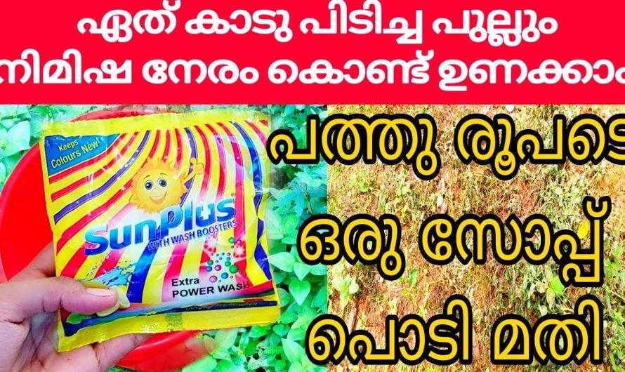 വീട്ടിലുള്ള ഈ സാധനം കൊണ്ട് പത്തു പൈസ ചിലവില്ലാതെ ഏത് പുല്ലും ഉണക്കിഎടുക്കാം