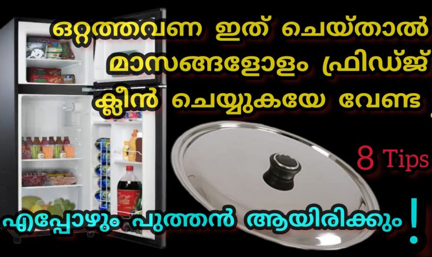 ഒരു തവണ ഇങ്ങനെ ചെയ്താൽ മതി ഫ്രിഡ്ജ് ക്ലീൻ ചെയ്യാൻ മടിയുള്ളവർ