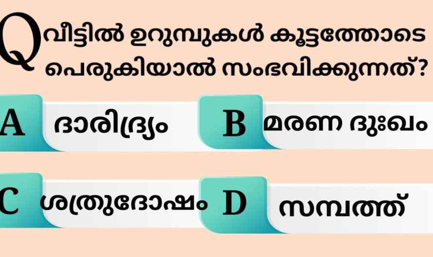 കൂട്ടത്തോടെ വീട്ടിൽ ഉറുമ്പുകൾ പെരുകിയാൽ സംഭവിക്കുന്നത്