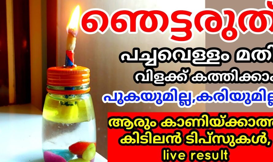 ഇത് കണ്ടാൽ ആരുമൊന്ന് ഞെട്ടും തീർച്ച, നിങ്ങളുടെ കണ്ണ് തള്ളുന്ന ചില ടിപ്‌സുകൾ