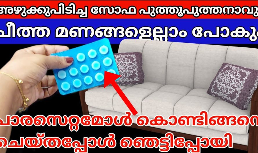 മൂത്രമൊഴിച്ചാലും വിഷമിക്കണ്ട കുട്ടികൾ സോഫയിൽ ,വീട്ടിലെ അഴുക്കുള്ള സോഫ,ബെഡ് പുത്തനാക്കാൻ എളുപ്പവഴി