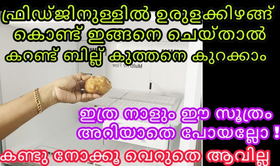 ഇതുവരെ ഇങ്ങനെ ചെയ്തു നോക്കിയില്ലല്ലോ, ഉരുളക്കിഴങ്ങ് ഉണ്ടായിട്ടും