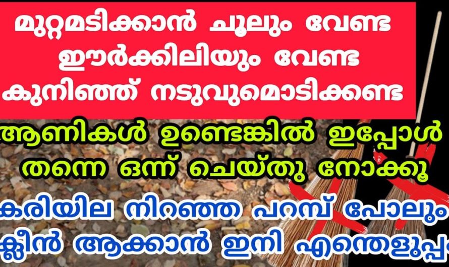 മുറ്റമടിക്കാൻ ചൂല് വേണ്ട, ഇതുണ്ടെങ്കിൽ ഇനി മുതൽ കുനിയണ്ട