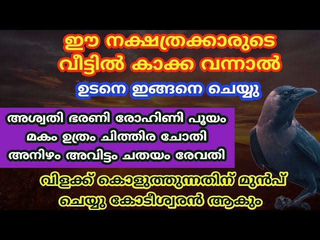 ഇവരുടെ ജീവിതം റോക്കറ്റ് പോലെ കുതിച്ച് ഉയർത്തും