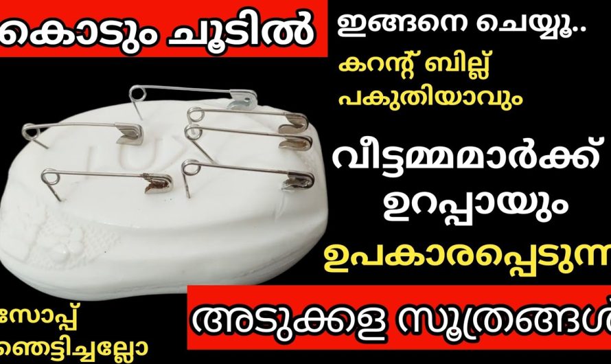 ഇങ്ങനെ ചെയ്യൂ കറന്റ്‌ ബില്ല് കുറക്കൻ, കുളിക്കുന്ന സോപ്പിൽ സേഫ്റ്റിപിൻ ഇങ്ങനെ ചെയ്തപ്പോൾ