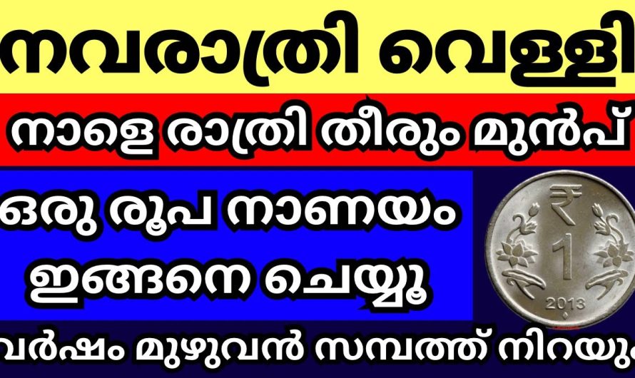 നവരാത്രിയിലെ വെള്ളിയാഴ്ച്ച, നാളെ രാത്രി തീരും മുൻപ് ഇങ്ങനെ ചെയ്യൂ,സാമ്പത്തിക ഉയർച്ച ഉറപ്പ്