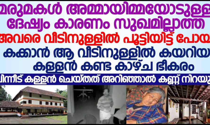 വീട്ടിൽ വയ്യാത്ത അമ്മായിയമ്മ പൂട്ടിയിട്ട പോയ മരുമകൾ; ആ വീട്ടിൽ കക്കാൻ കയറിയ കള്ളൻ കണ്ട കാഴ്ച