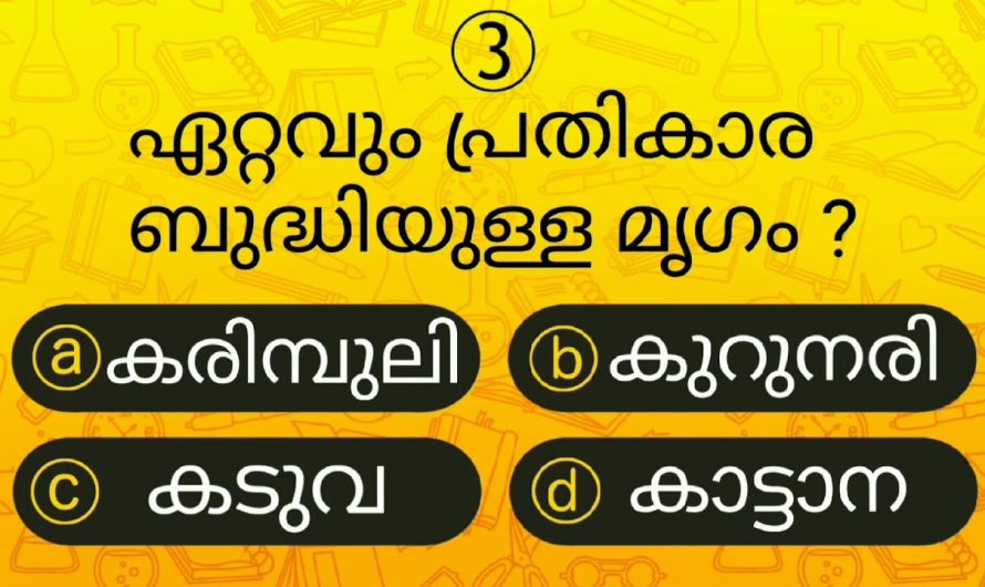 പ്രതികാരം ബുദ്ധിയുള്ള മൃഗം ഏതാണ്?