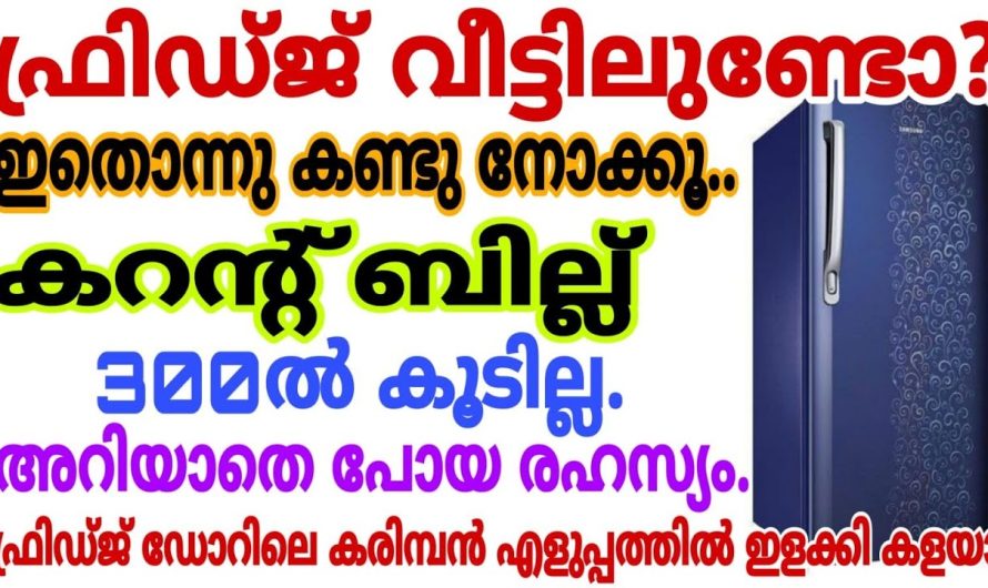 വീട്ടമ്മമാർ അറിയാതെ പോയ രഹസ്യം, കരണ്ട് ബില്ല് ഇനി 500ൽ കൂടില്ല ഇങ്ങനെ ചെയ്തു നോക്കൂ