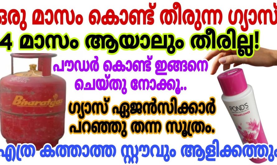 ഇങ്ങനെ ചെയ്തു നോക്കൂ, ഇനി എത്ര ഉപയോഗിച്ചാലും ഗ്യാസ് വേഗം തീരില്ല