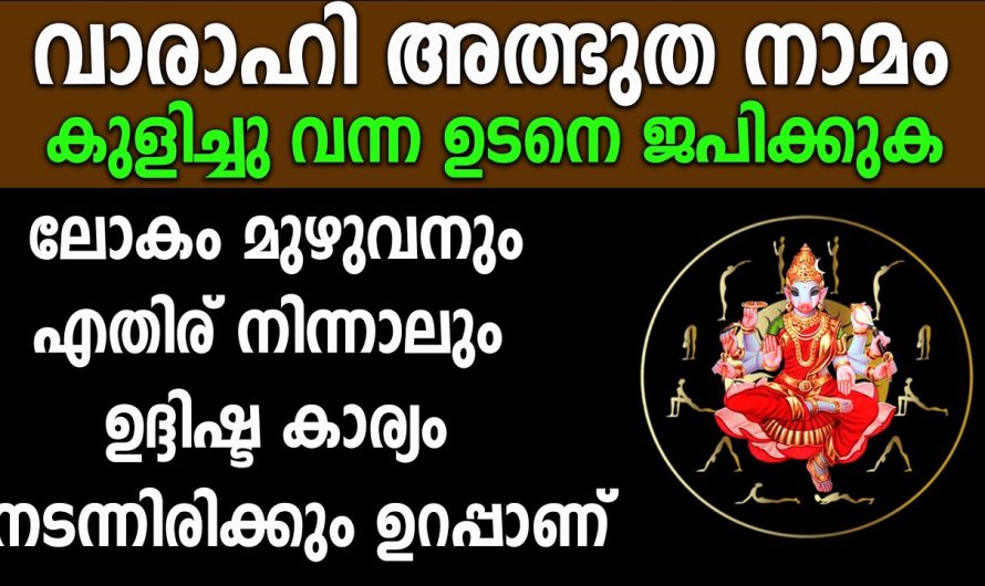 മനസ്സിൽ വിചാരിച്ച കാര്യം നടക്കും,വാരാഹി, 2 വരി നാമം ഇതൊന്നു കേട്ടാൽ പോലും