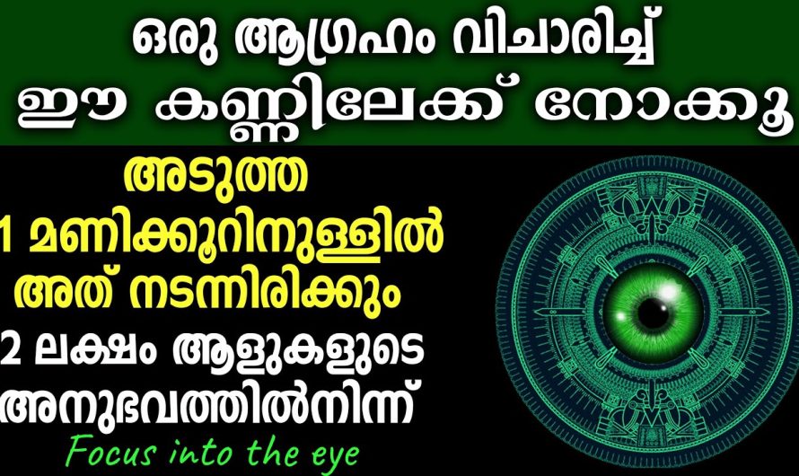 ഒരു ആഗ്രഹം വിചാരിക്കുക, ഈ കണ്ണിലേക്ക് നോക്കി അത് നടന്നിരിക്കും