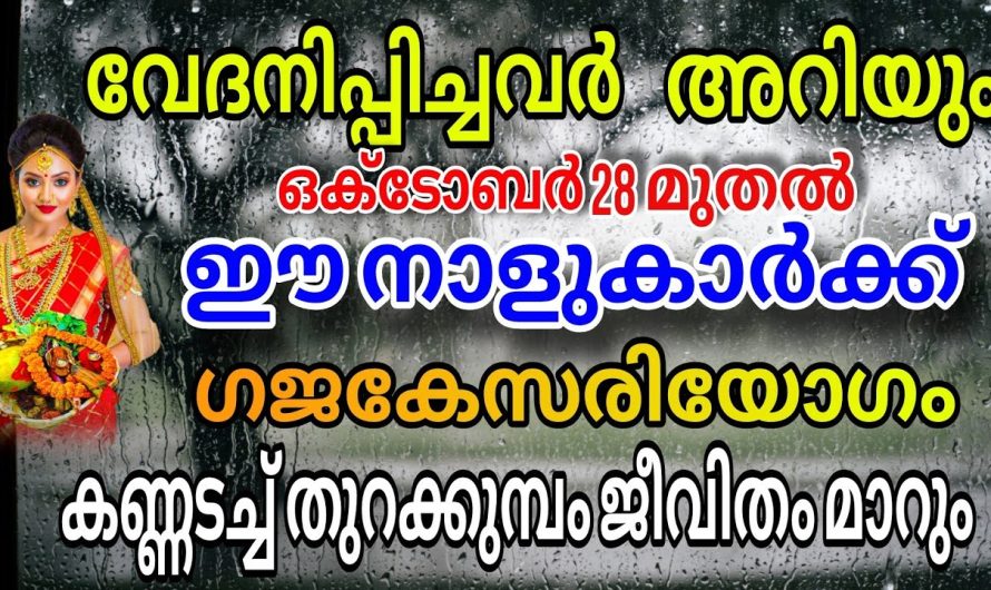 പിന്നെ പിടിച്ചാൽ കിട്ടില്ല ഈ നക്ഷത്രക്കാരെ നാളെ തുടങ്ങും നല്ല കാലം !!