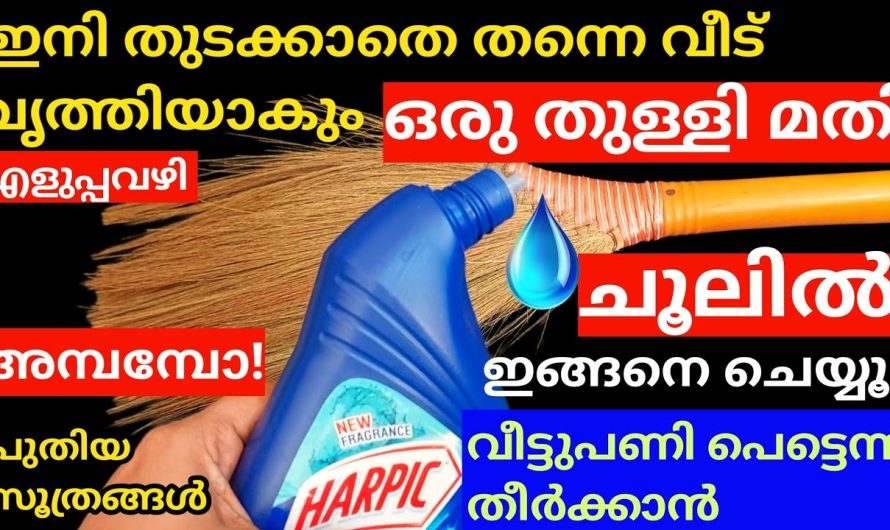 ചൂലിനെ വാക്വംക്ലീനർ ആക്കാം ഇതറിഞ്ഞാൽ മതി, ഇനി വീട് തുടക്കണ്ട,