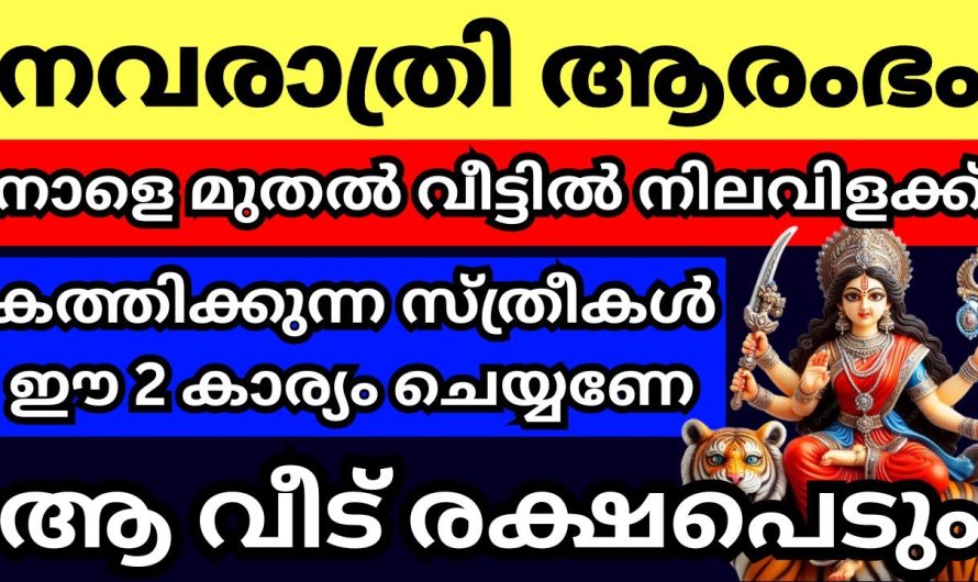 നാളെ മുതൽ വീട്ടിൽ നിലവിളക്ക് കത്തിക്കുമ്പോൾ ഈ 2 കാര്യം അമ്മമാർ ചെയ്യണേ