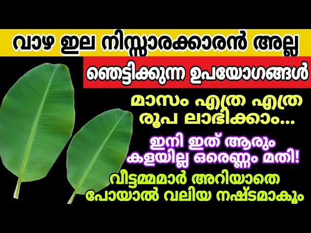 ഒരു കഷ്ണം ഇല മതി പലരും അറിയാത്ത സൂത്രം വാഴ വെറുതേ വെട്ടി കളയല്ലേ