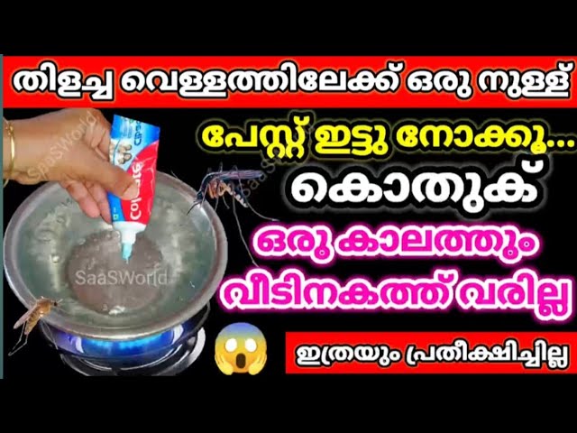 ഷോക്കടിച്ച പോലെ കൂട്ടത്തോടെ ചത്തു വീഴും കൊതുകെല്ലാം, ഒരെണ്ണം മതി ഒരു മാസത്തേക്ക്