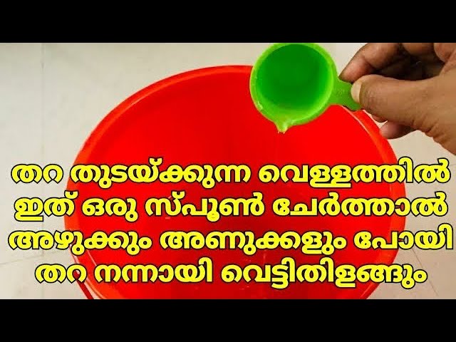 ഇതൊന്നു ചേർത്ത് തുടയ്ക്കൂ തറ തുടയ്ക്കുന്ന വെള്ളത്തിൽ, തറ വെട്ടിതിളങ്ങും