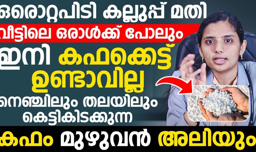 ഇനി വീട്ടിലെ ഒരാൾക്കു പോലും കഫക്കെട്ട് ഉണ്ടാവില്ല, ഒരൊറ്റ പിടി കല്ലുപ്പ് മതി