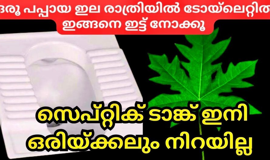 ഞെട്ടിപ്പോകും തീർച്ച, പപ്പായ ഇല കൊണ്ടുള്ള ഈ ട്രിക്കുകൾ കണ്ട് നോക്കൂ