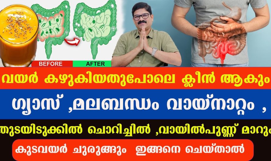 ഗ്യാസ് ,മലബന്ധം വായ്നാറ്റം , വായിൽപുണ്ണ് , കുടവയർ ചുരുങ്ങും വയർ കഴുകിയതുപോലെ ക്ലീൻ ആകും