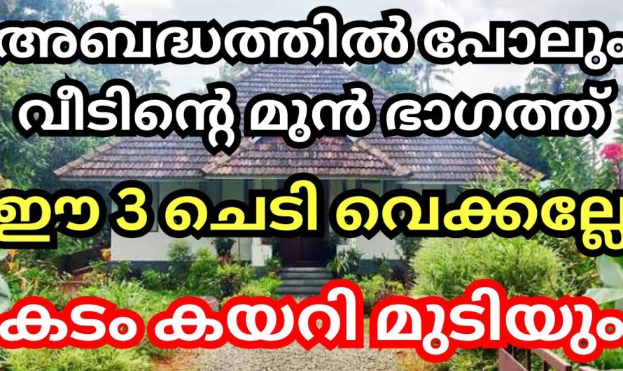 ഈ പൂച്ചെടികൾ വെക്കല്ലേ, വീട്ടിൽ കടം കയറും, അബദ്ധത്തിൽ പോലും വീടിന്റെ മുൻ ഭാഗത്ത്