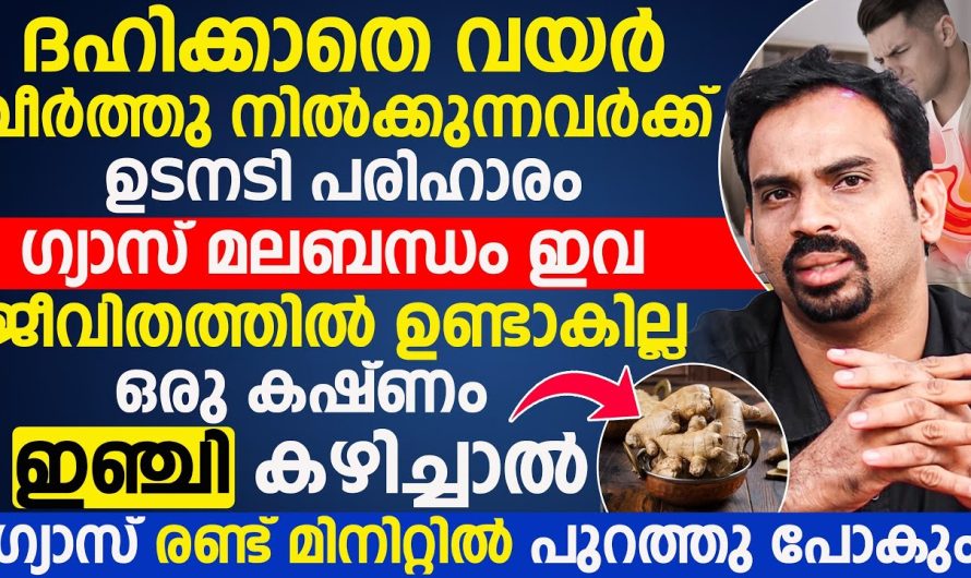 വയർ വീർത്തു ദഹിക്കാതെ നിൽക്കുന്നവർക്ക് പരിഹാരം ഗ്യാസ് മലബന്ധം ഇവ ഉണ്ടാകില്ല