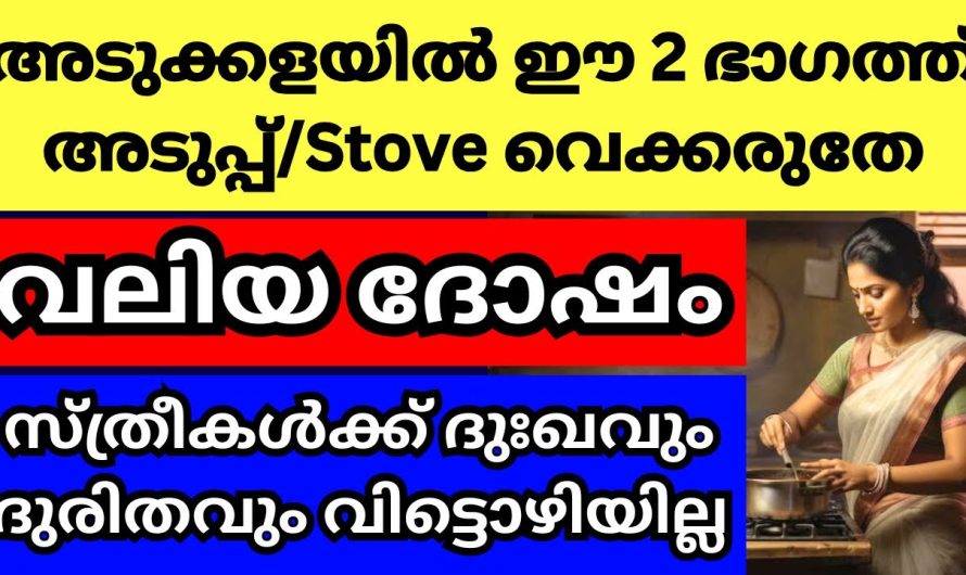 വെക്കല്ലേ അടുക്കളയുടെ ഈ ഭാഗത്ത് അടുപ്പ്, വാസ്തു ദോഷ സ്ഥാനം